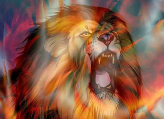 Lion.jpg