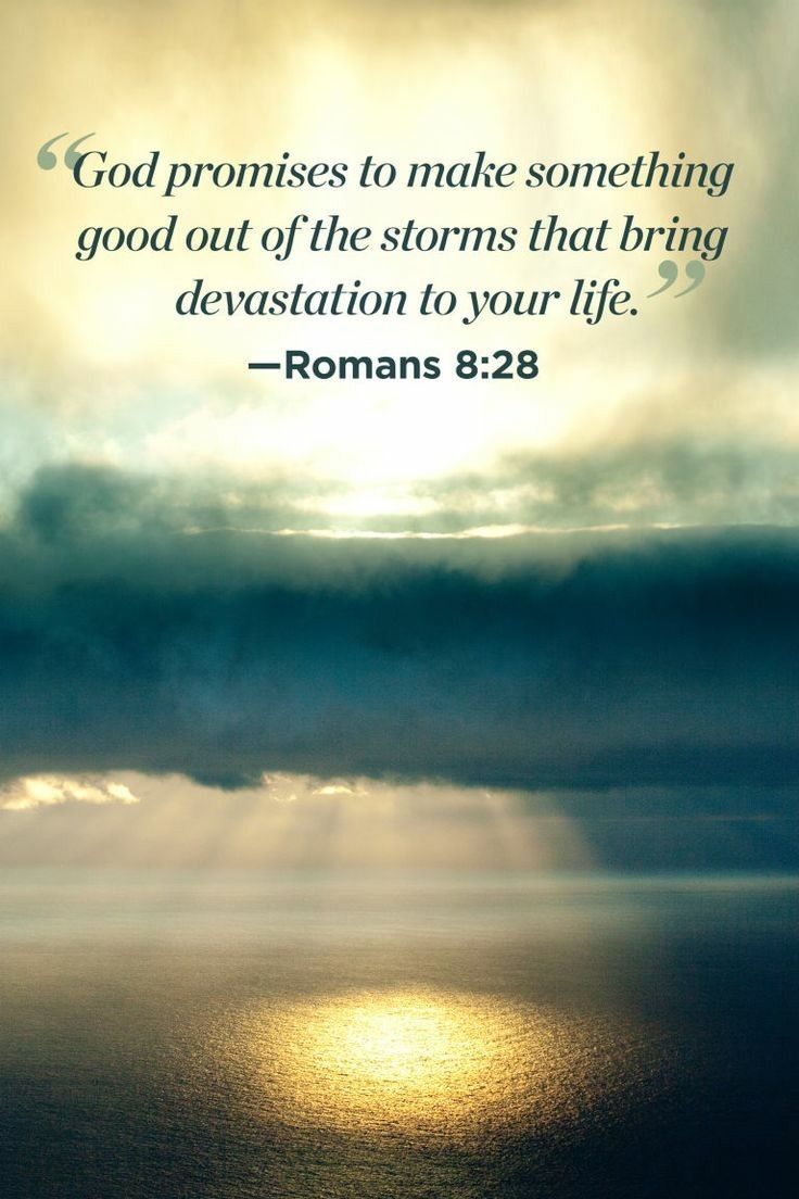 Romans 8:28.jpg