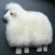 Sheep Cushion