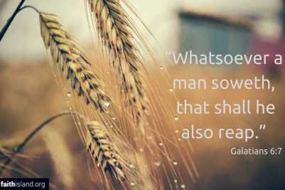 Whatsoever-a-man-soweth