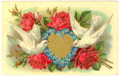 pcGrtgBD-BestBirthdayWishes-doves-heart-roses-a.jpg