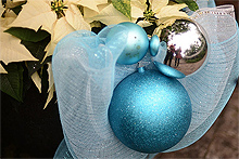 3010-large.jpg