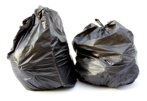 two_trash_bags.jpg