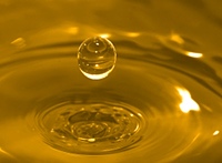 2925-large.jpg