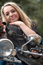 2913-large.jpg