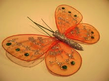 robyns_butterfly.jpg