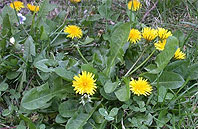 2290-large.jpg