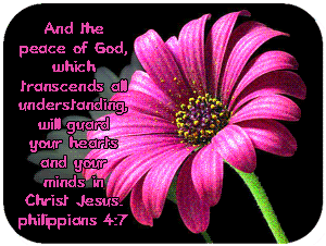 2121515762-the-peace-of-god-bible-quote.gif