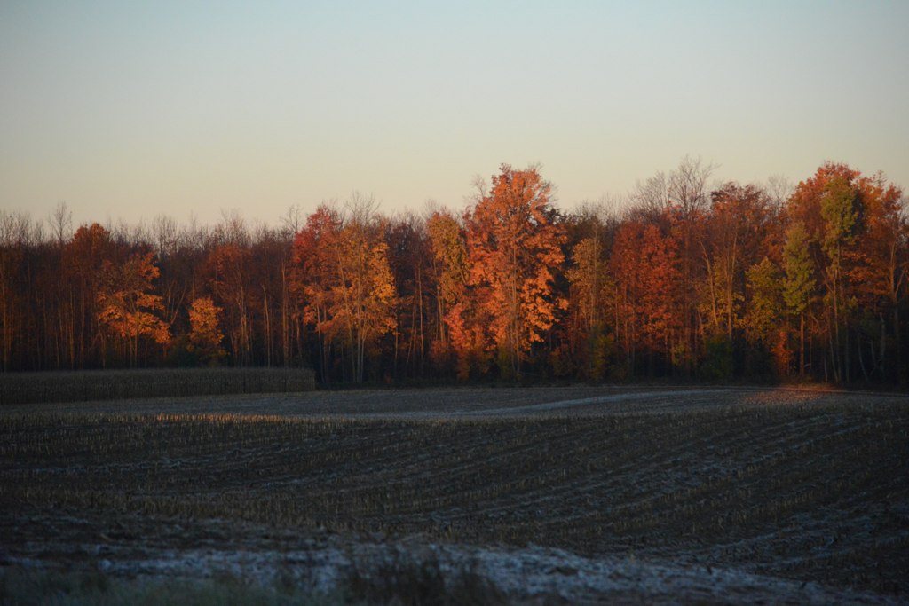 15474627890_d482ac8e17_b.jpg