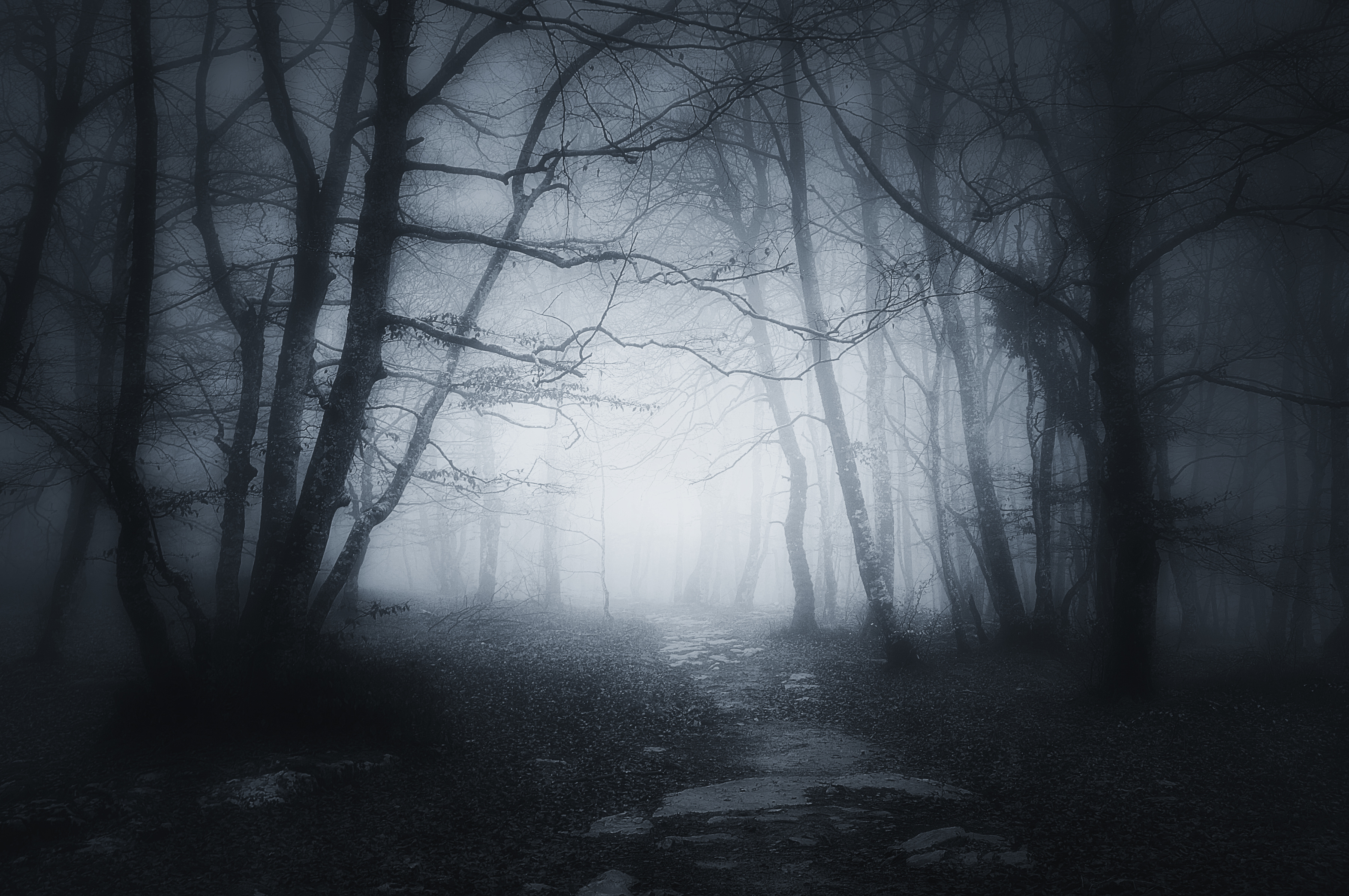 path_in_darkness.jpg
