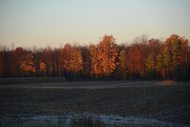 15474627890_d482ac8e17_z.jpg