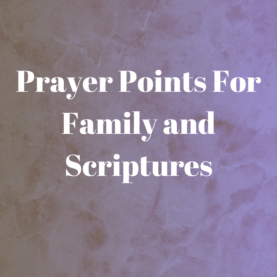 everydayprayerguide.com