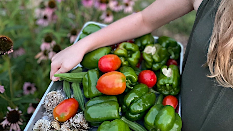 garden_bounty.jpg
