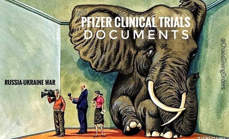 Food and Drug, Pfizer Covid vaccine has 1,291 side effects reveals official documents