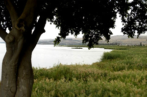 sea_of_galilee-av.jpg