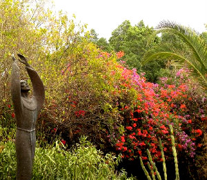 garden_stretch-av.jpg