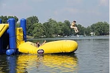 3119-large.jpg
