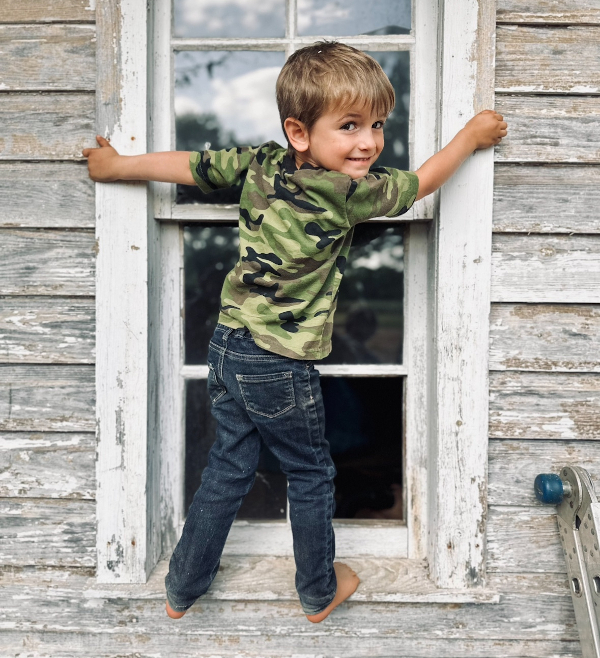 hanging_on_window-troyer.jpg
