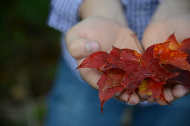 15657511171_c47a768006_z.jpg