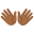 👐🏾