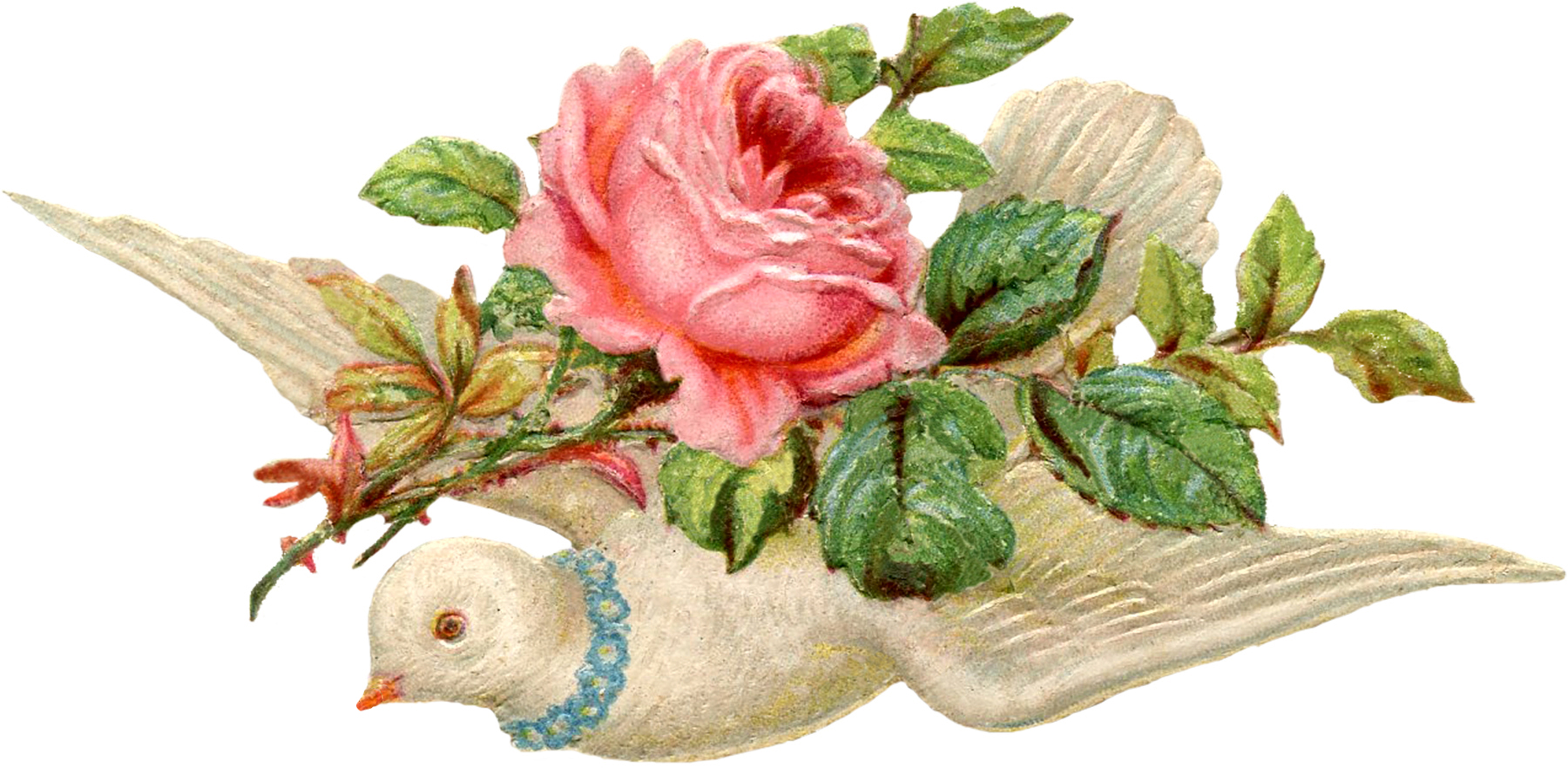 Valentine-Scrap-Dove-Image-GraphicsFairy.jpg