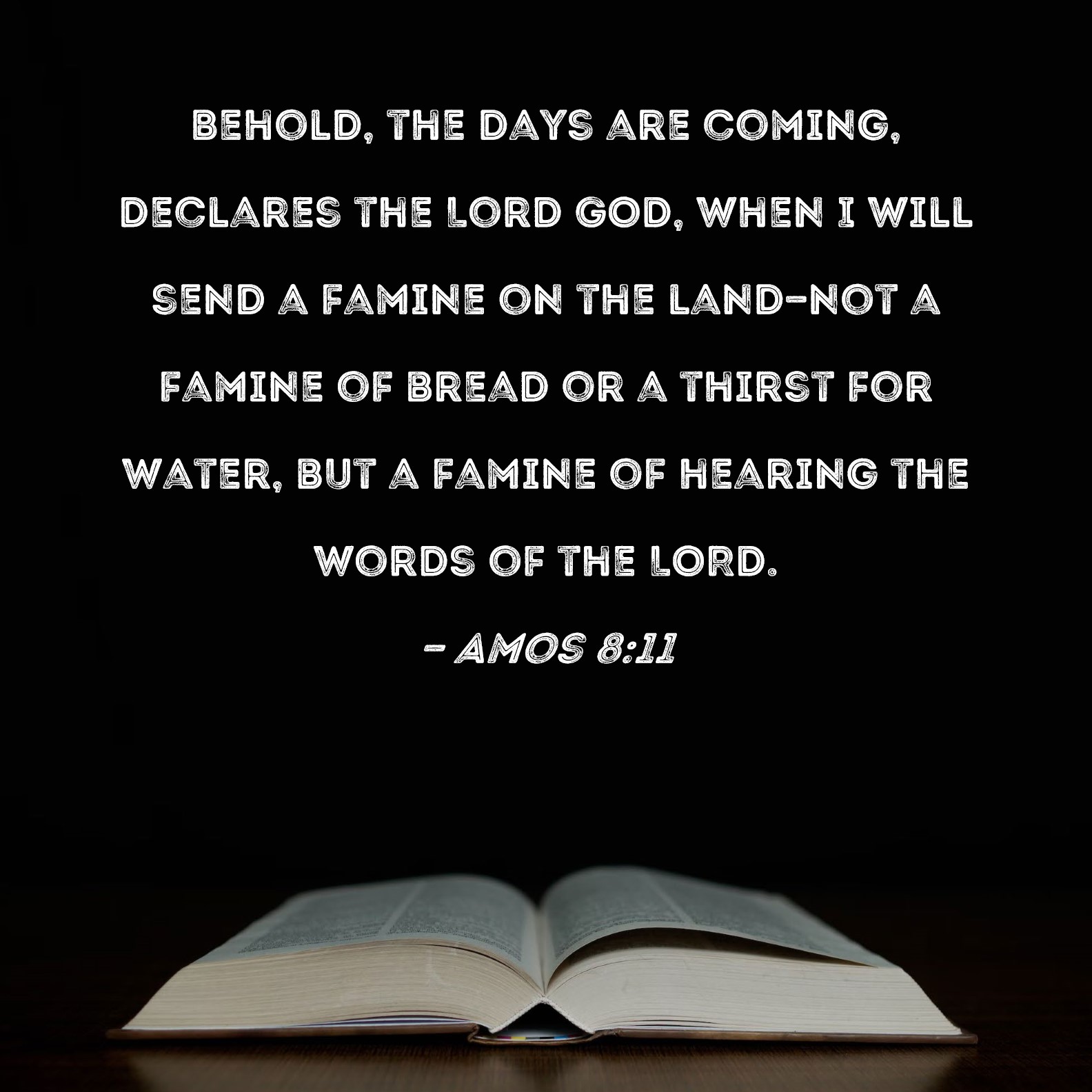 biblehub.com