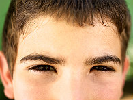 2878-large.jpg