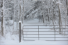 3029-large.jpg