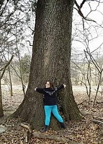 teresas_big_tree.jpg