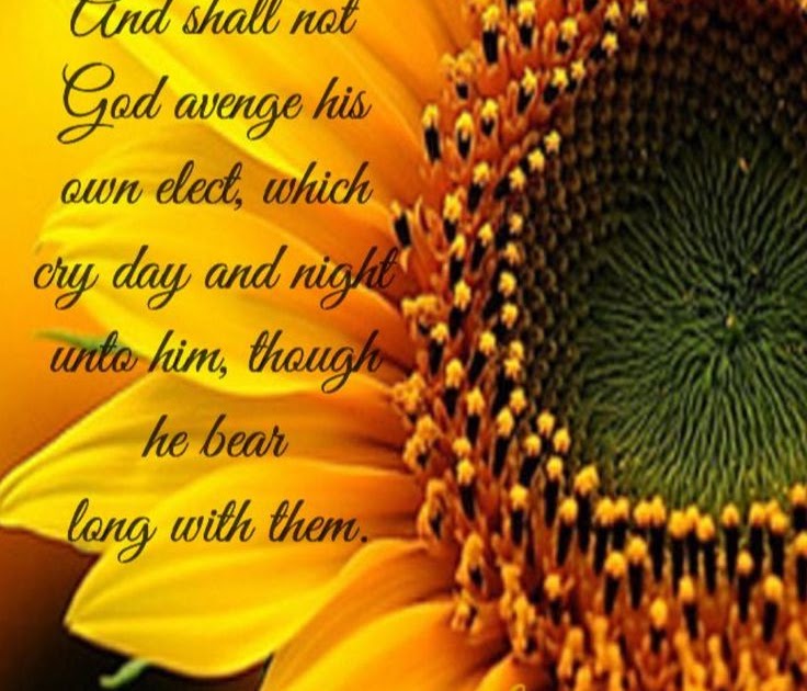 be-an-encourager.blogspot.com