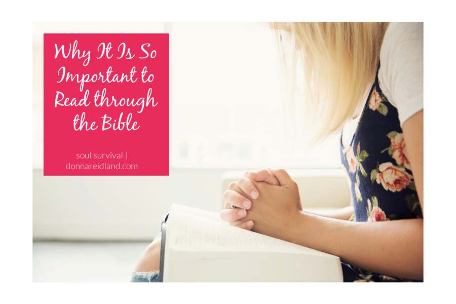 Young woman with long blond hair with an open bible on her lap and text that reads, Why It Is So Important to Read through the Bible Young woman with long blond hair with an open bible on her lap and text that reads, Why It Is So Important to Read through the Bible