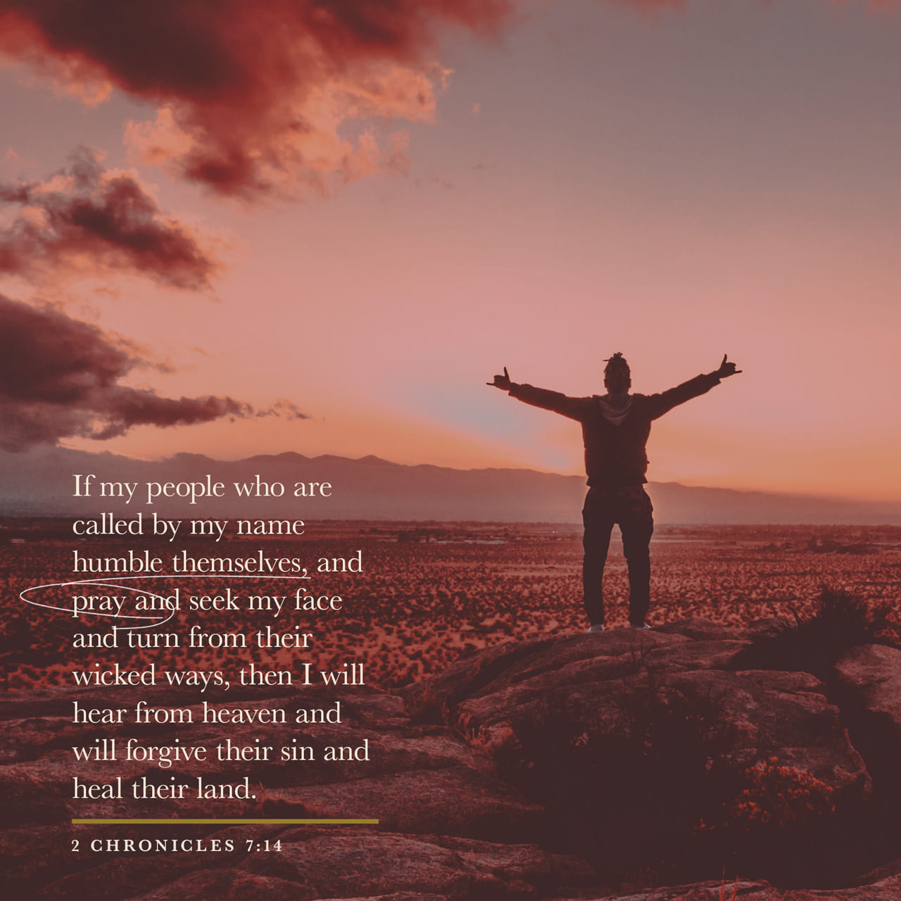 www.bible.com