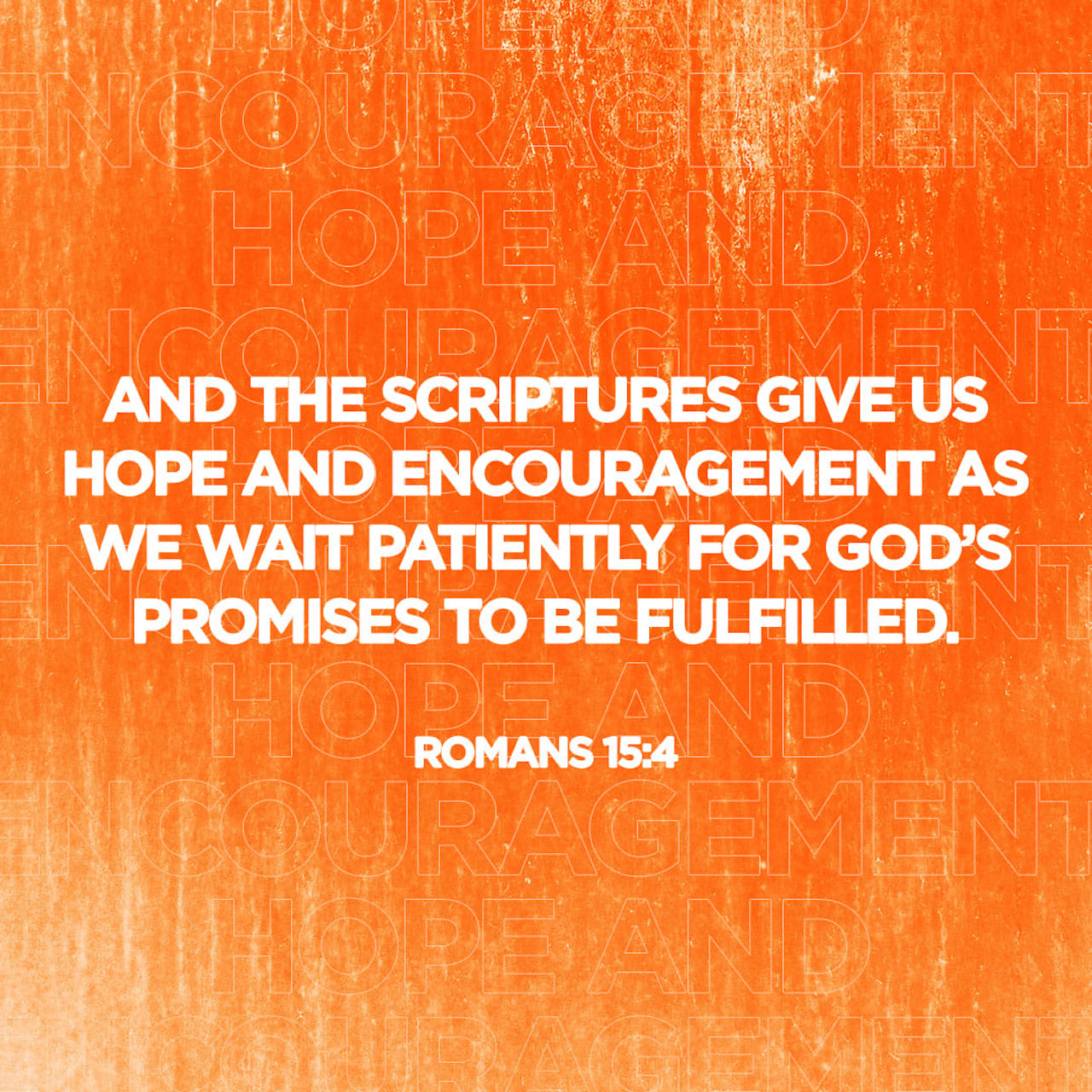 www.bible.com