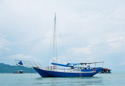 www.diy-wood-boat.com